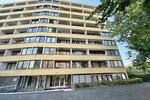 Etagenwohnung Bonn Küdinghoven - 2 Zimmer, 50 m&sup2;, 1.300&euro; | Angebot:27547935