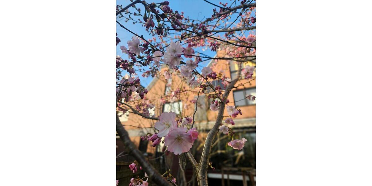 Reihenhaus Hilden Kalstert - 6 Zimmer, 168 m&sup2;, 580.000&euro; | Angebot:24832240