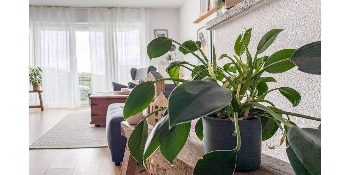 Reihenendhaus Rösrath Hoffnungsthal - 5 Zimmer, 189 m&sup2;, 625.000&euro; | Angebot:26572984