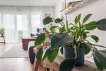 Reihenendhaus Rösrath Hoffnungsthal - 5 Zimmer, 189 m&sup2;, 625.000&euro; | Angebot:26572984