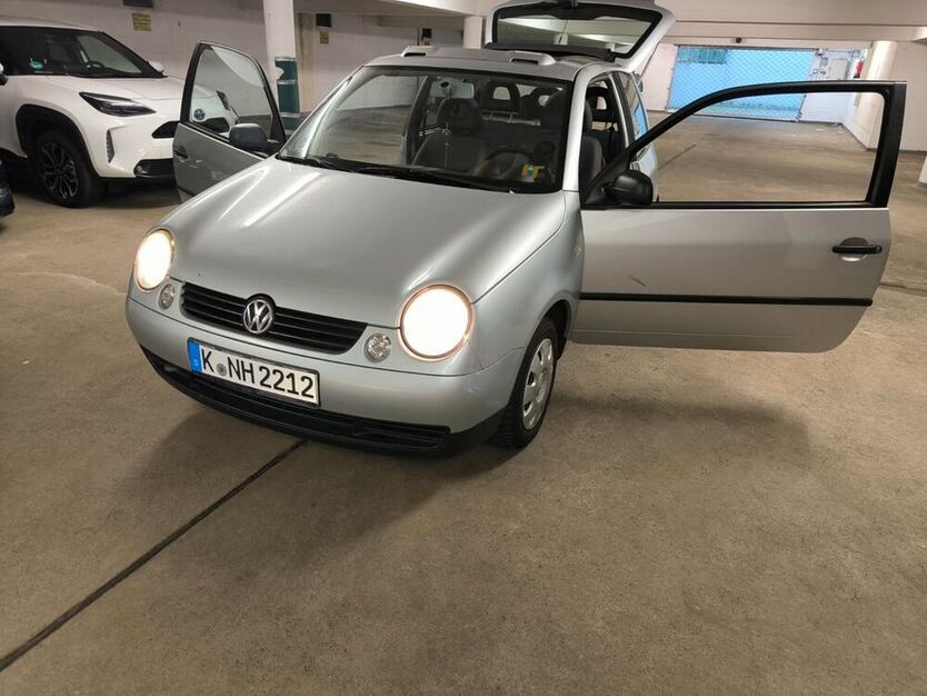Lupo