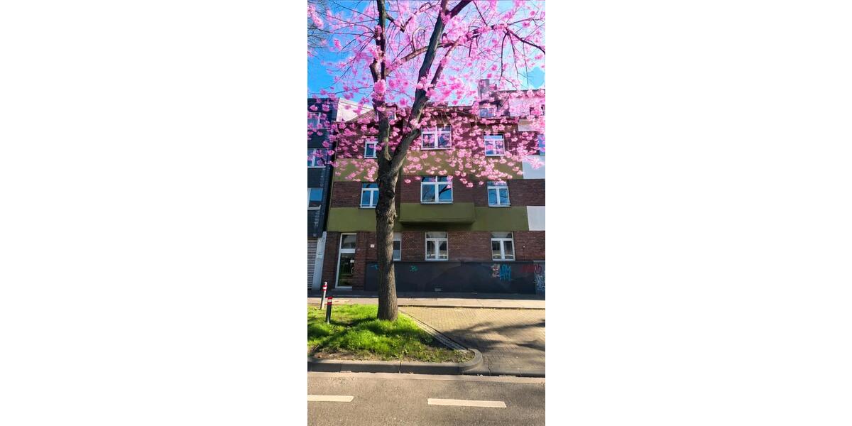 Erdgeschoßwohnung Köln Kalk - 2 Zimmer, 54 m&sup2;, 249.000&euro; | Angebot:25901021
