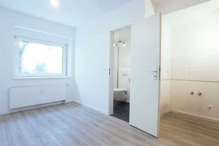 Wohnung zum Mieten in Köln 725 € 36.08 m² 2 zimmer