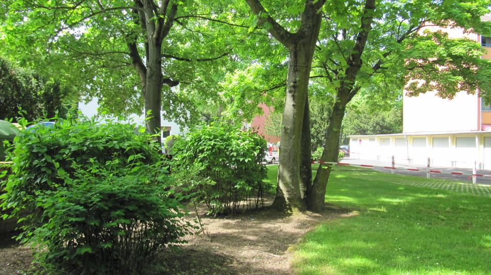 Etagenwohnung Bonn Hardtberg - 3 Zimmer, 66 m&sup2;, 216.000&euro; | Angebot:24784179