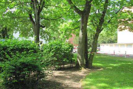 Wohnung Bonn Hardtberg - 3 Zimmer, 66 m&sup2;, 216.000&euro; | Angebot:24784179