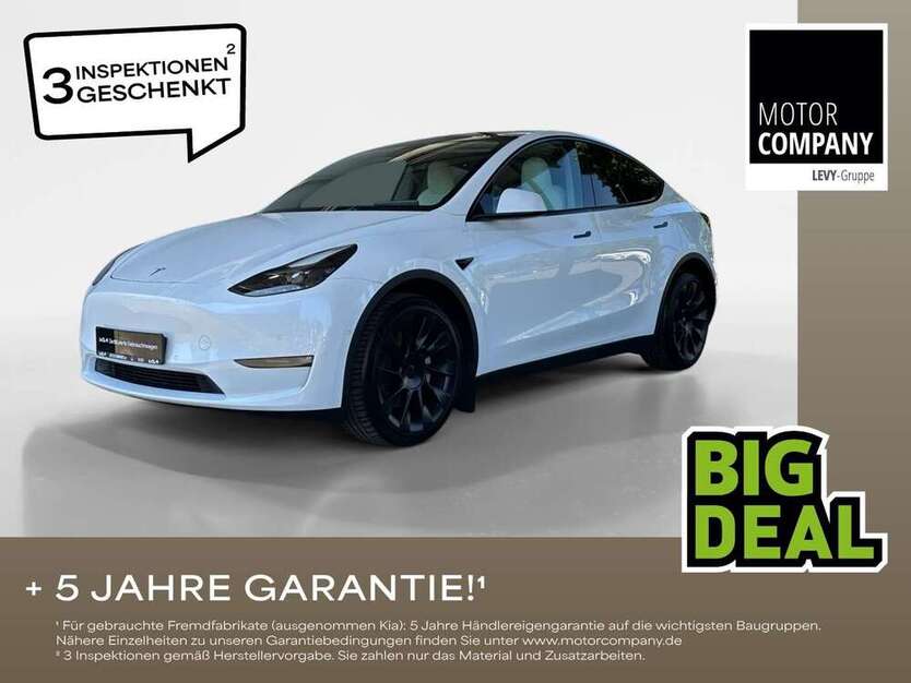 Model Y