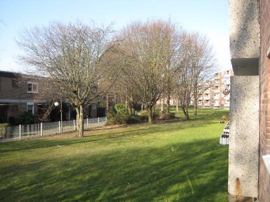 Umzug gefällig? Interessante 3-Zi.-Wohnung 3 zimmer