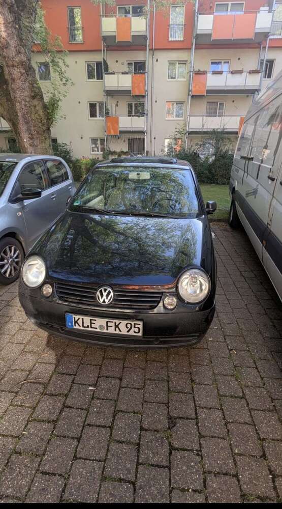 Lupo