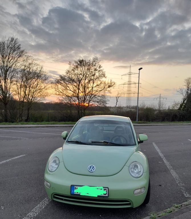 Beetle