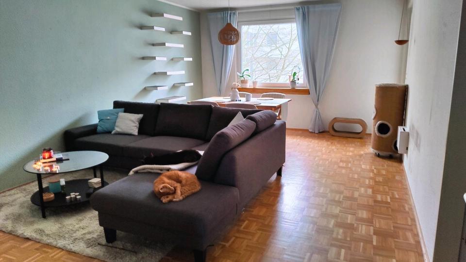 Befristete Untermiete - möblierte Wohnung - inkl. 2 Katzen 3 zimmer