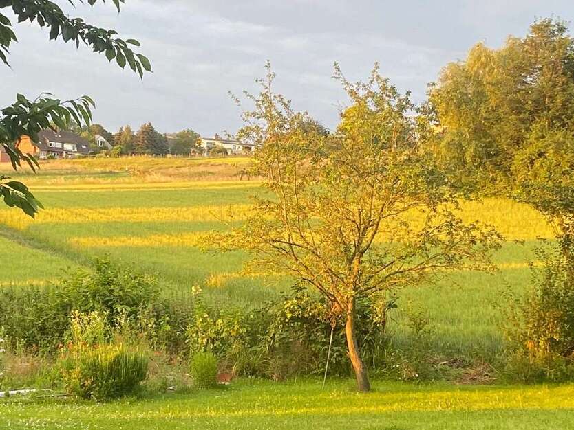 Grundstück zu verkaufen in Bornheim 620.000 € 1170 m² zimmer