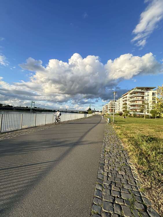 Wohnung zum Mieten in Köln 650 € 38 m²