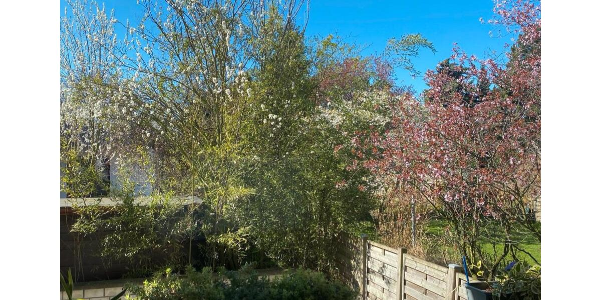 Maisonettenwohnung Köln Nippes - 4 Zimmer, 103 m&sup2;, 495.000&euro; | Angebot:27029626