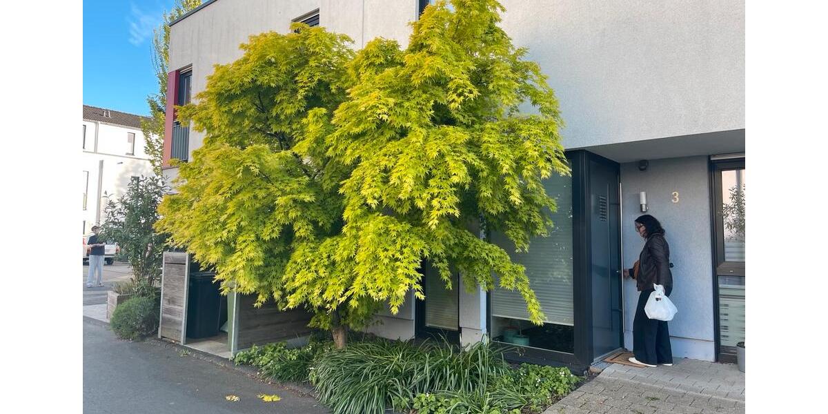 Doppelhaushälfte Bonn Friesdorf - 5 Zimmer, 165 m&sup2;, 3.000&euro; | Angebot:26385271