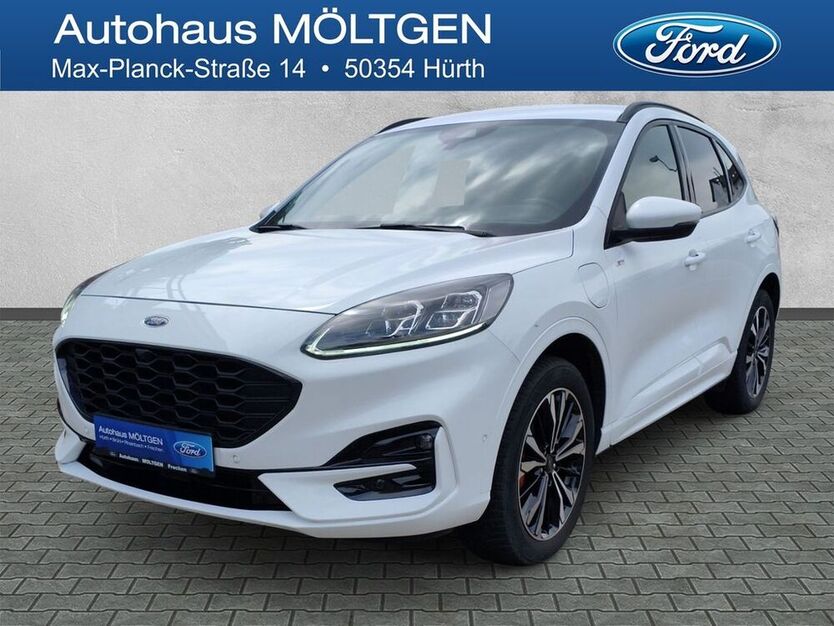 Kuga