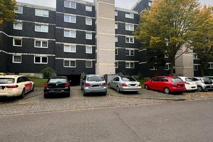 3 Zimmer Wohnung 3 zimmer