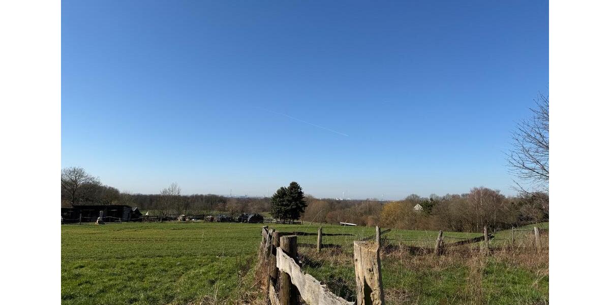 Einfamilienhaus Leverkusen Schlebusch - 4 Zimmer, 245 m&sup2;, 2.850&euro; | Angebot:25374192