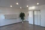 Etagenwohnung Bonn Auerberg - 2 Zimmer, 64 m&sup2;, 704&euro; | Angebot:26929336