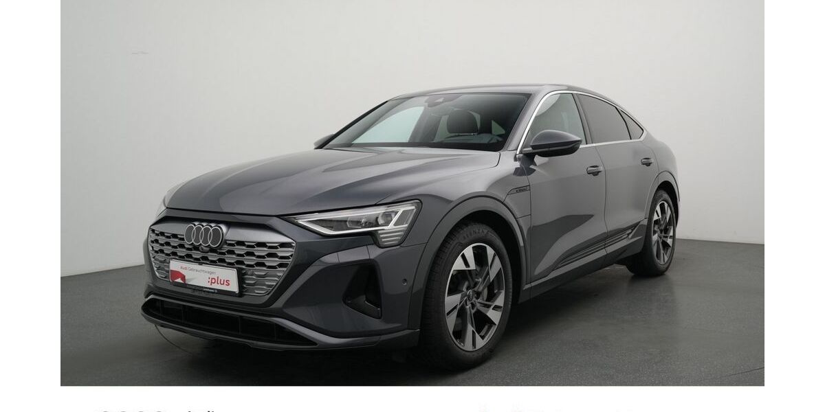 Audi Q8 3.555 km 61.980 &euro; Leverkusen 51373