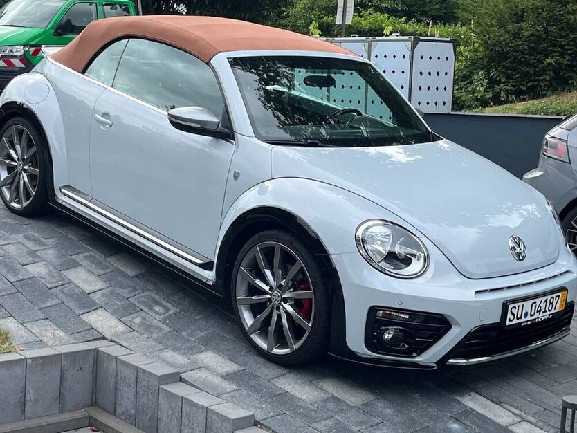 Beetle