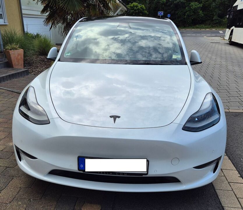 Model Y