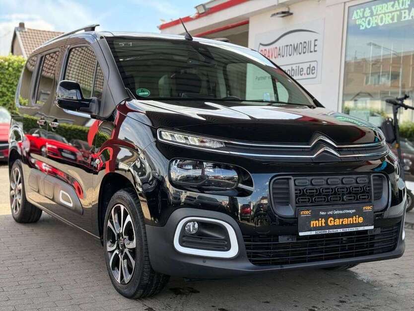 Berlingo