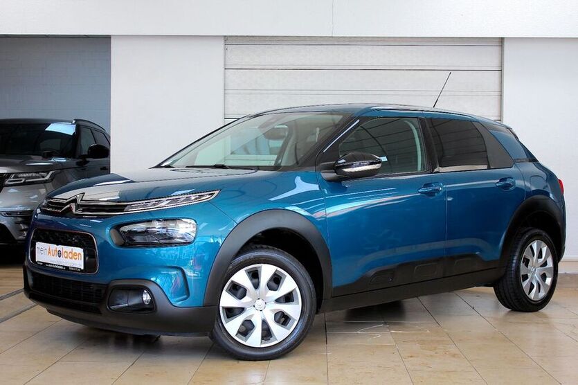 C4 Cactus