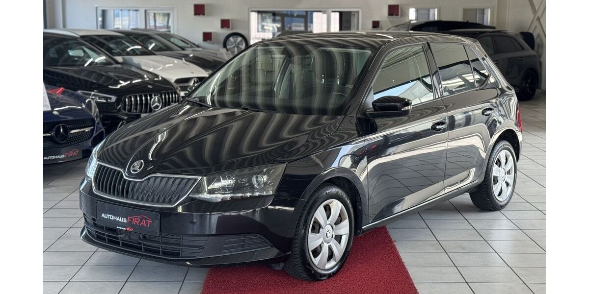 Skoda Fabia 141.400 km 8.849 &euro; Erftstadt / Köln 50374