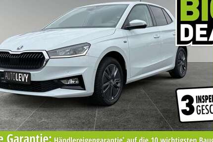 Skoda Fabia 20.853 km 19.770 € Euskirchen 53881