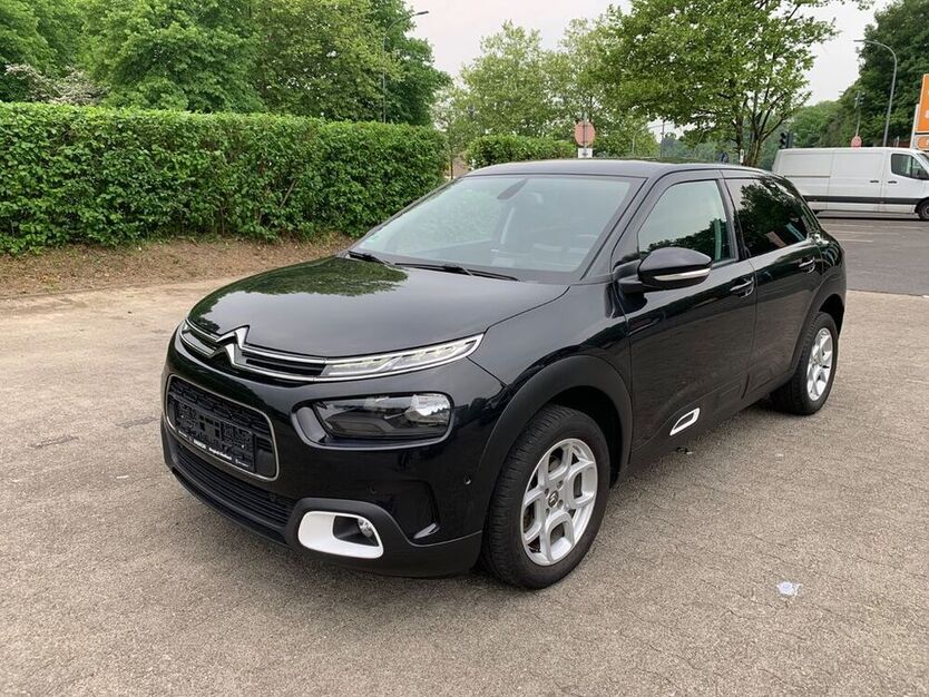 C4 Cactus