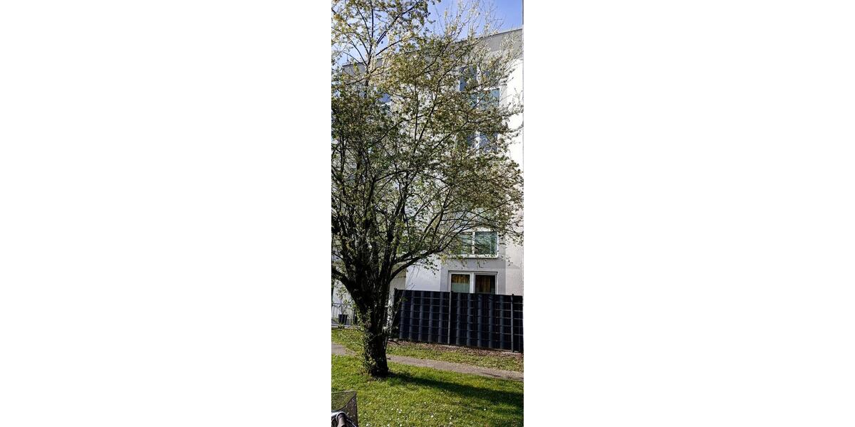 Gepflegte geräumige 1-Zimmer-Wohnung 1 zimmer