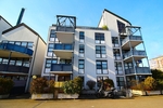 Bezugsfreie, barrierearme und frisch renovierte 2 Zimmer ETW mit Terrasse, Aufzug und TG-Stellplatz. - Etagenwohnung Sankt Augustin | Angebot:26777828