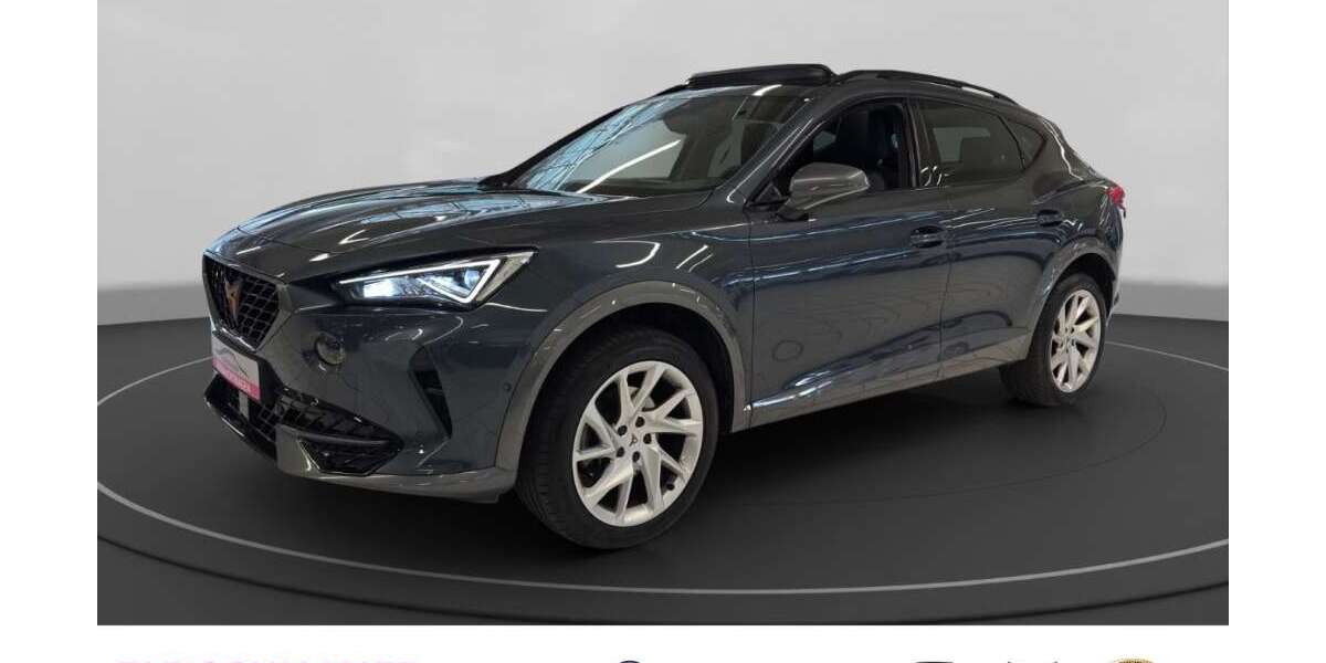 Cupra Formentor 76.720 km 21.980 &euro; Bonn 53119