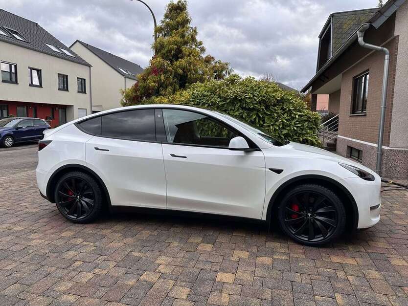 Model Y