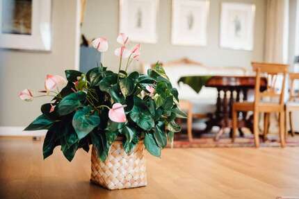 Wohnung zum Kaufen in Köln 535.000 € 98 m² 3 zimmer