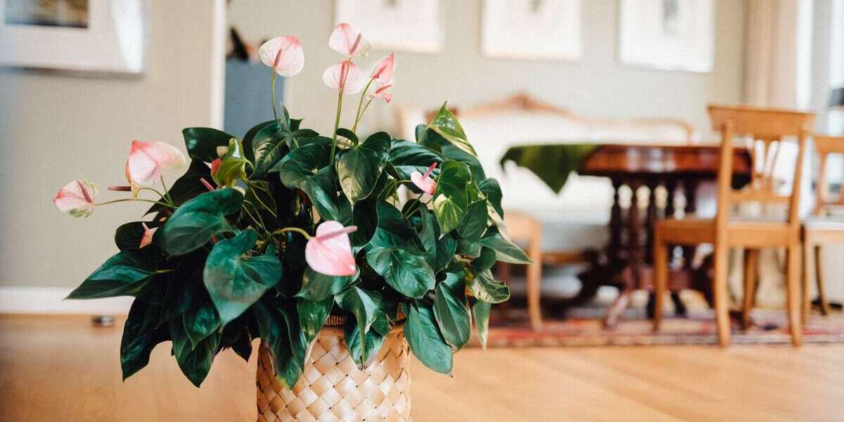 Wohnung zum Kaufen in Köln 535.000 € 98 m² 3 zimmer