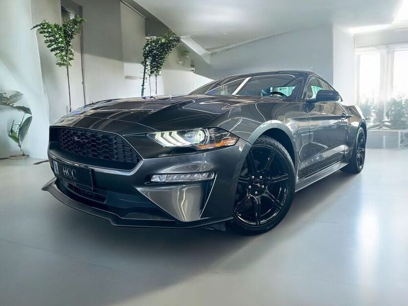 Mustang