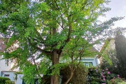 Haus Bergisch Gladbach Alt-Frankenforst - 7 Zimmer, 152 m&sup2;, 719.000&euro; | Angebot:24815311