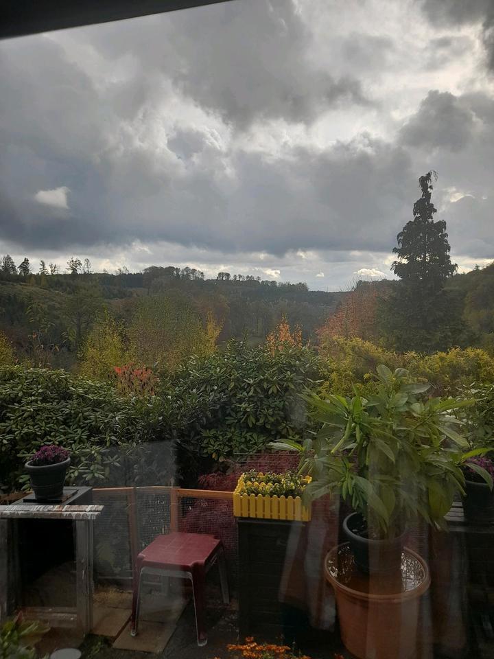 Wochendhaus an Schnellentschlossene zimmer