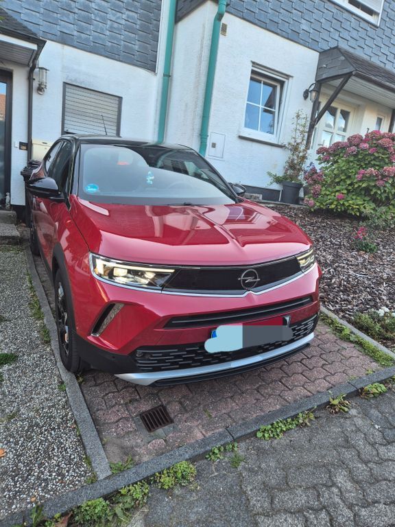 Mokka
