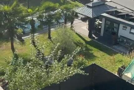 Wohnung Pulheim - 2 Zimmer, 54 m&sup2;, 730&euro; | Angebot:26256354