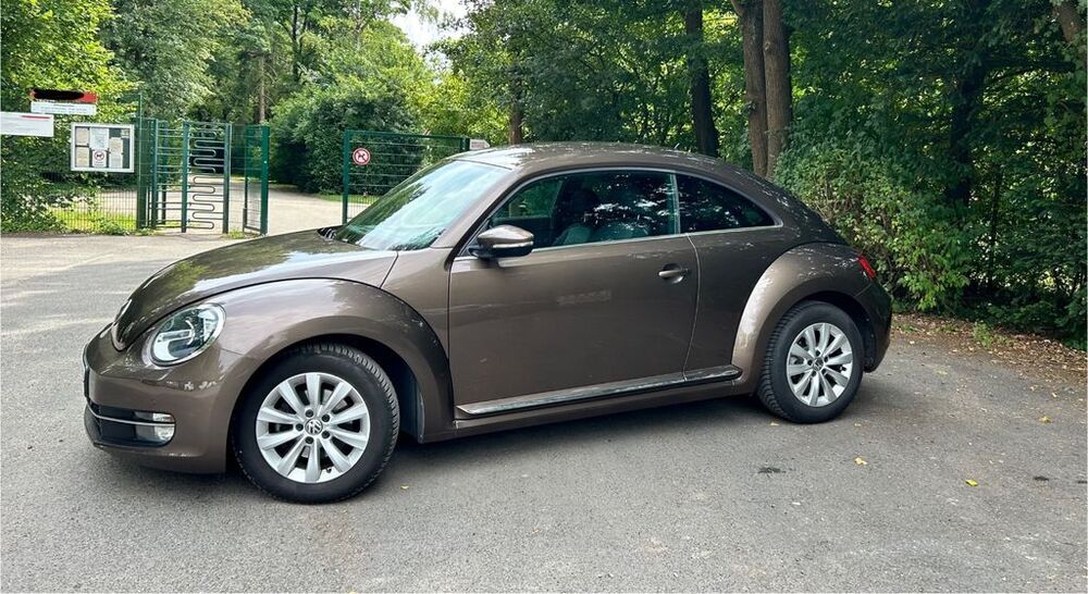 Beetle