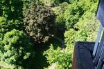 Etagenwohnung Köln Rodenkirchen - 3 Zimmer, 100 m&sup2;, 1.580&euro; | Angebot:25433198