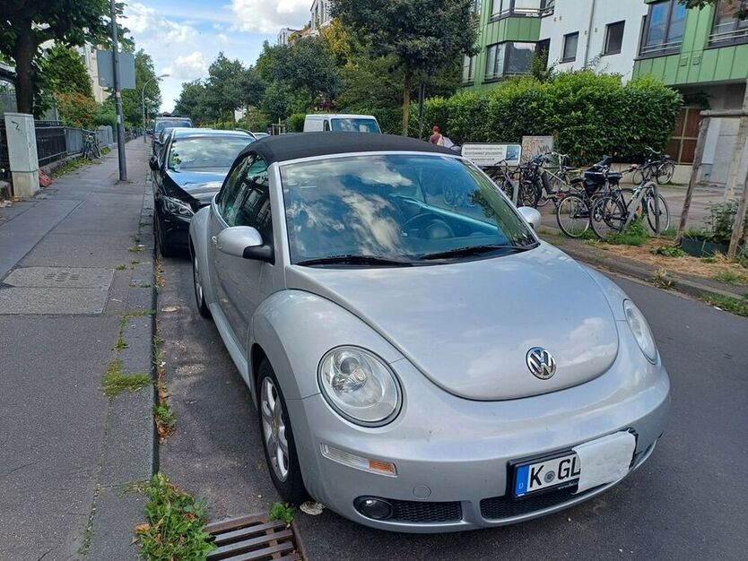Beetle