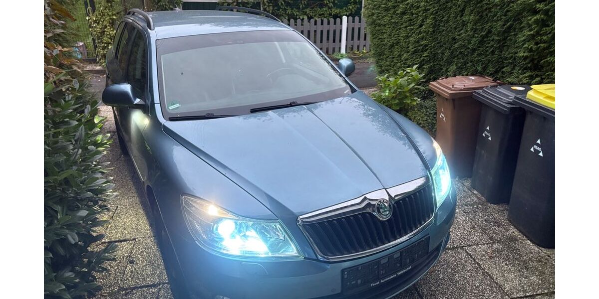 Skoda Octavia 177.094 km 3.500 &euro; Neunkirchen-Seelscheid 53819