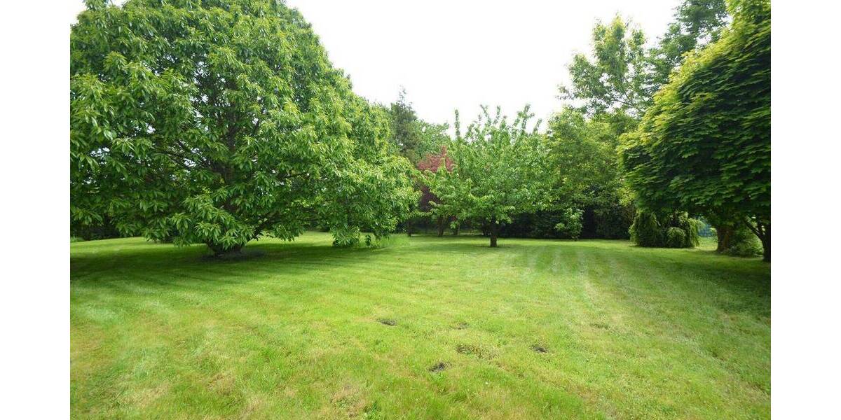 Einfamilienhaus Bornheim Walberberg - 5 Zimmer, 120 m&sup2;, 1.200&euro; | Angebot:26853379