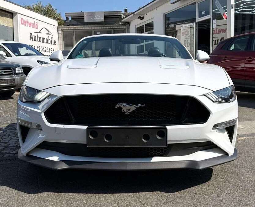 Mustang