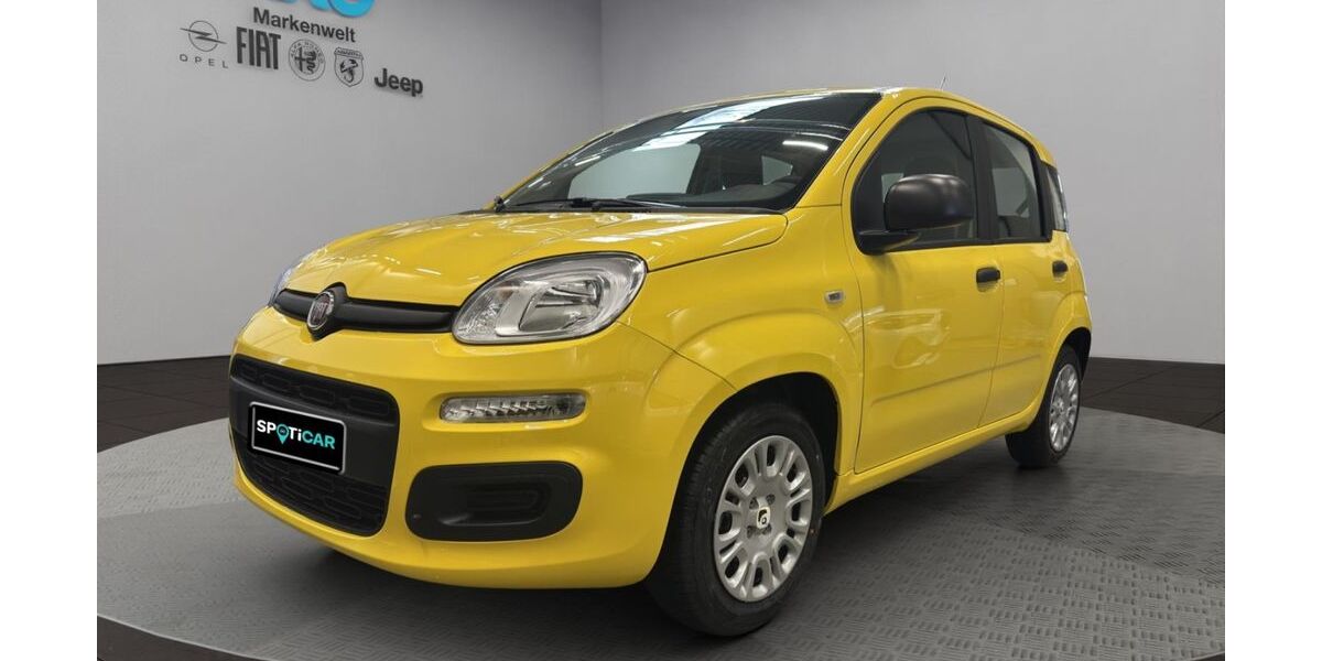 Fiat New Panda 1.500 km 14.990 &euro; Bonn 53119