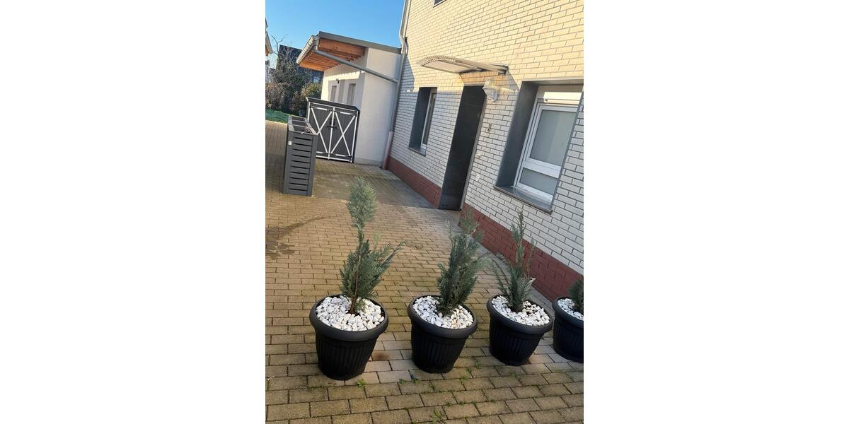 Ab sofort 2 Zimmerwohnung zu vermieten Köln Worringen 2 zimmer