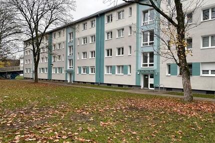 Geräumige 3-Zi.-Wohnung mit Balkon und eigenem Garten! 3 zimmer